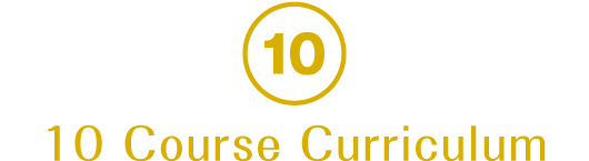 10 Course Curriculum