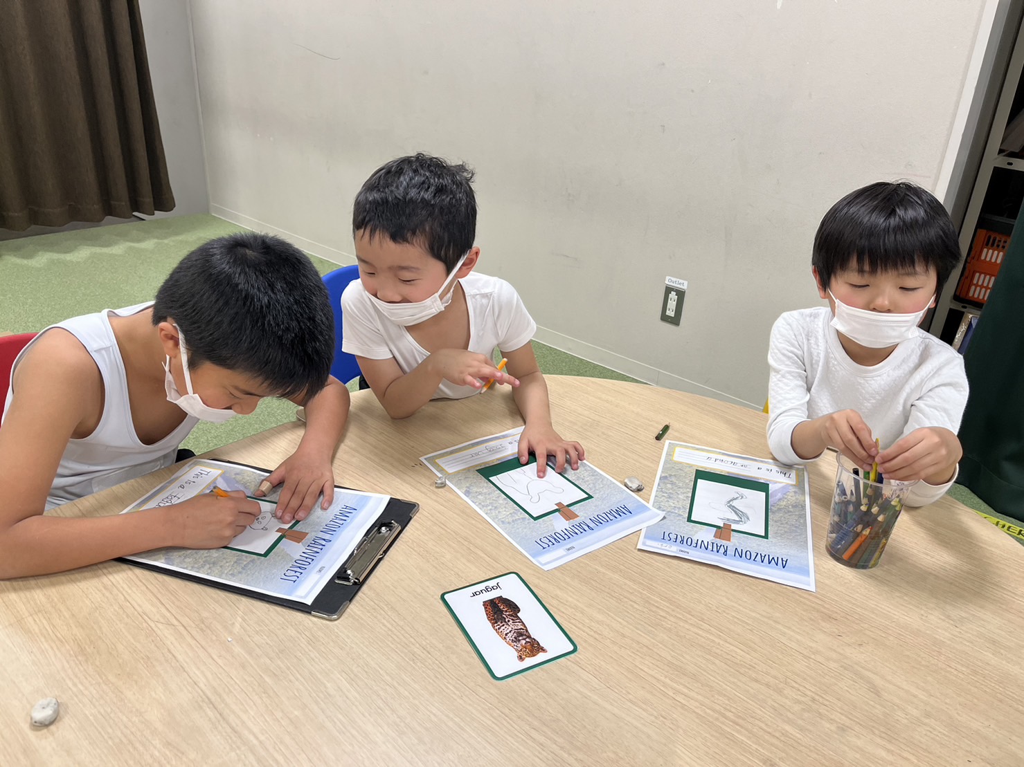 World traveler ブラジル